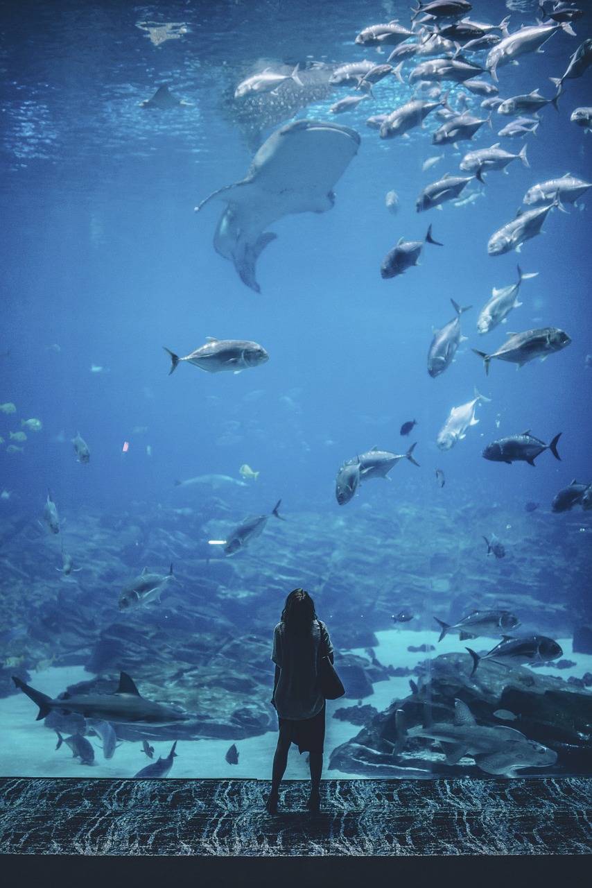 水族館デートを楽しむための1泊2日の旅行プランは？