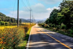 プロポーズに最適な旅行先のおすすめは？