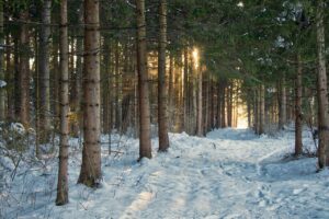 岐阜の白川郷で楽しむ雪景色デート旅行の魅力は？
