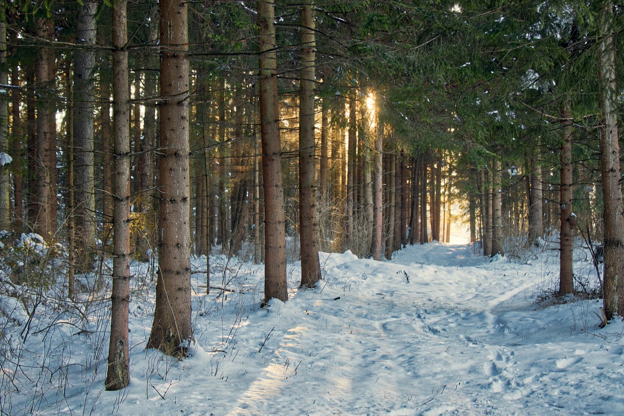 岐阜の白川郷で楽しむ雪景色デート旅行の魅力は？
