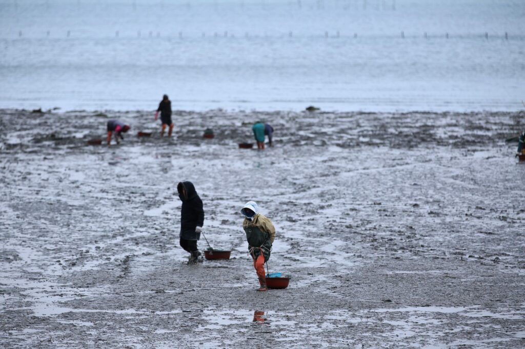 プロポーズに最適なおすすめ旅行先はどこですか？