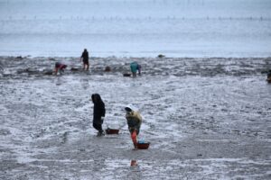 プロポーズに最適なおすすめ旅行先はどこですか？