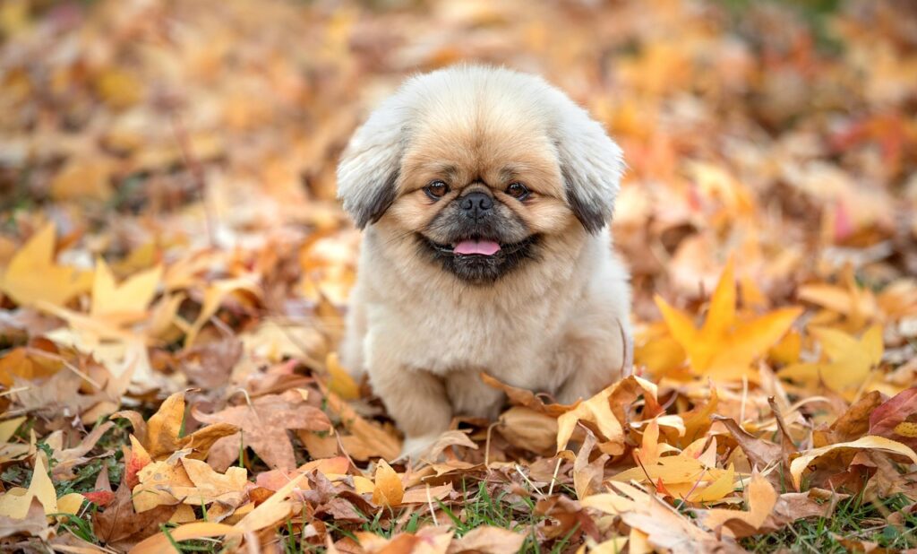 新婚旅行の予算はいくらが理想なのか？