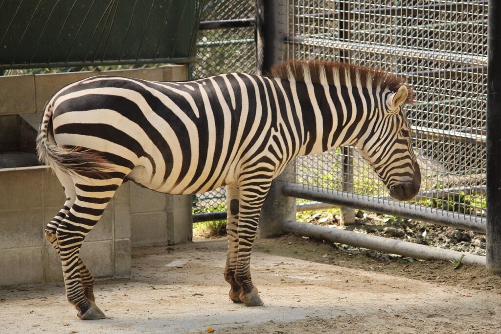 福岡の夜景を楽しむデート旅行におすすめの居酒屋は？