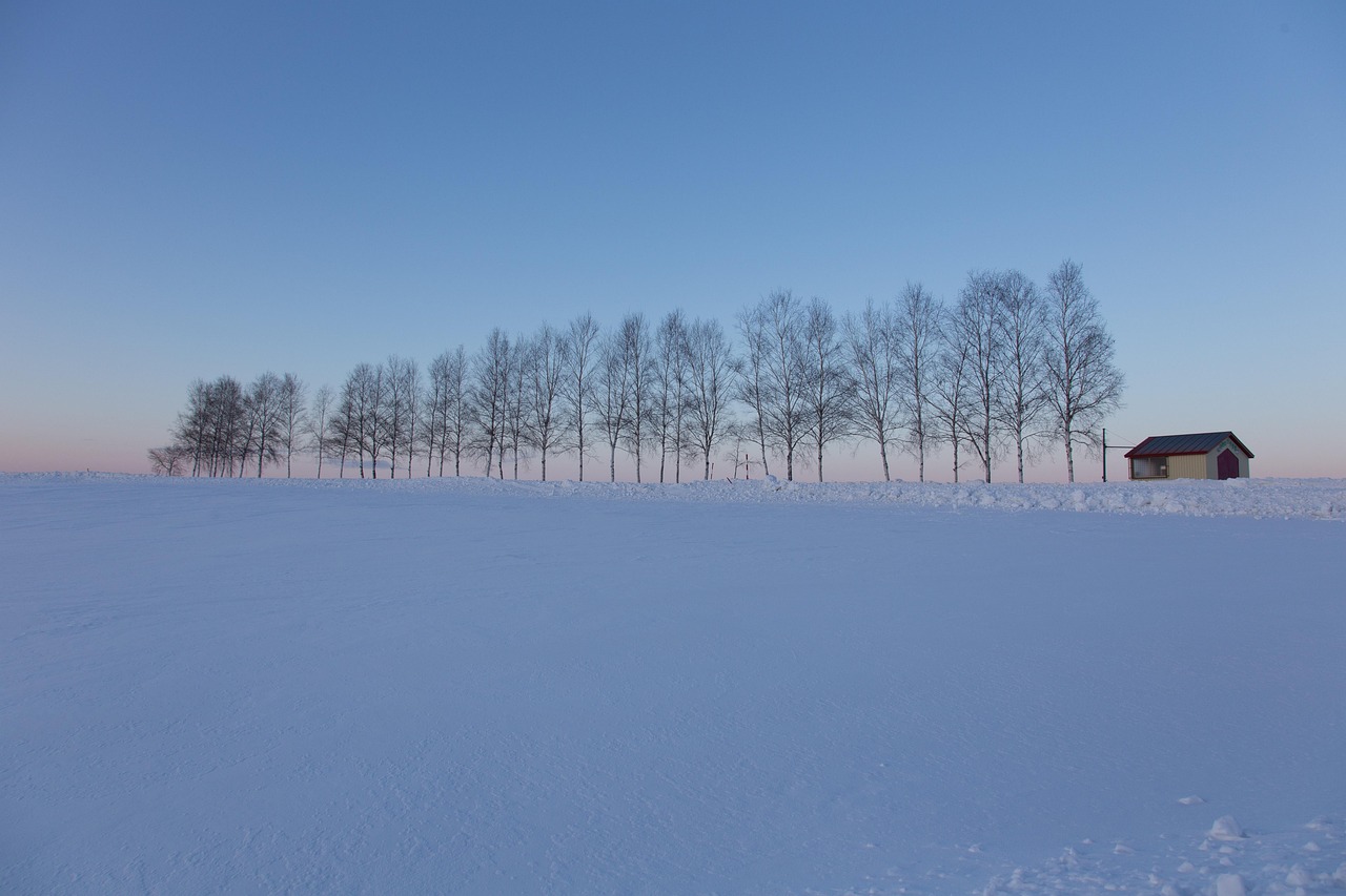 北海道の冬にカップルで楽しむ旅行のイルミネーションスポットは？
