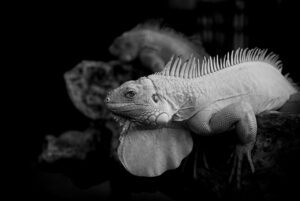 グランピングでカップルに最適な楽しみ方は？