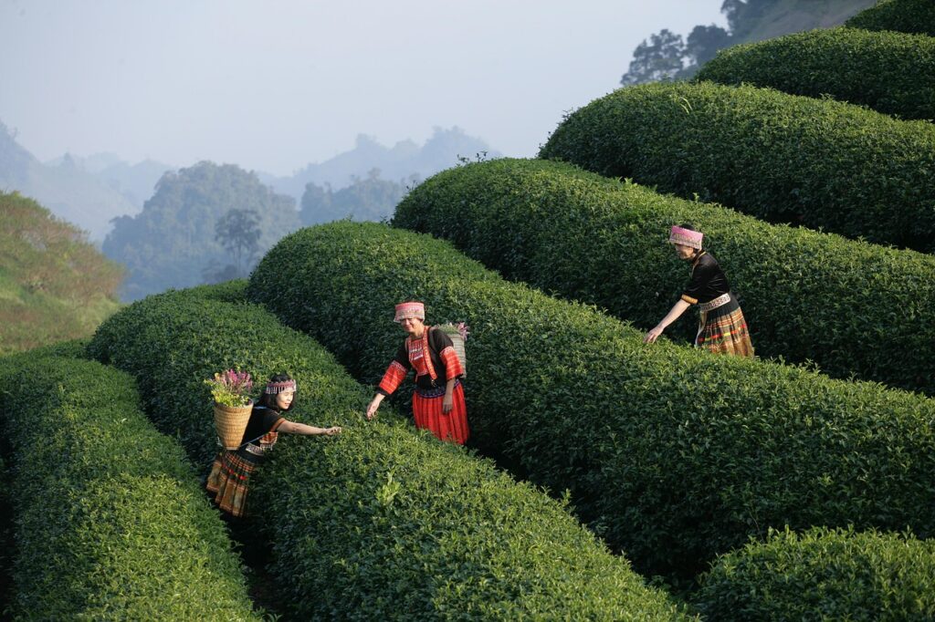 デート旅行に最適なランチスポットはどこがおすすめ？