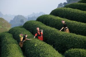 デート旅行に最適なランチスポットはどこがおすすめ？