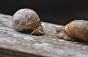 デート旅行で失敗しない方法は？